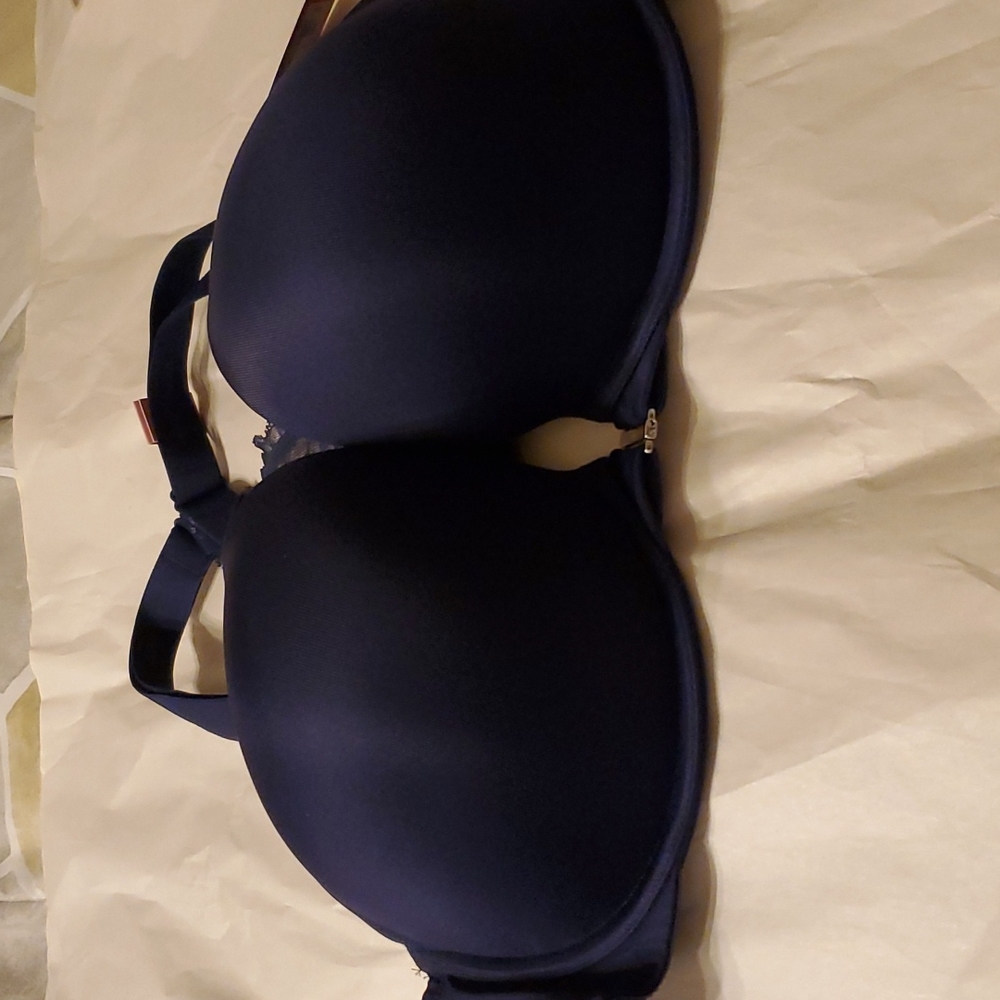 NWT Boost Plunge Bra with TBack